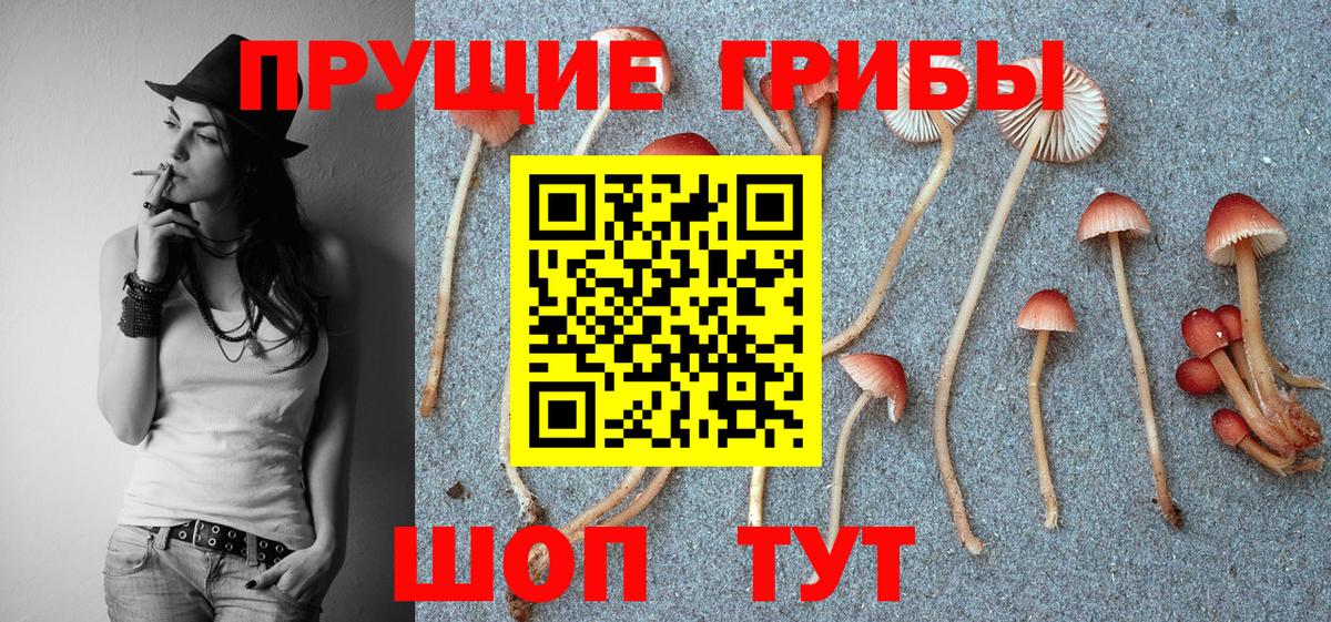 Галлюциногенные грибы GOLDEN TEACHER Алексеевка